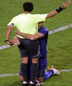 Матерацци прячется за судьей