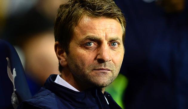 Тим Шервуд, Sky Sports