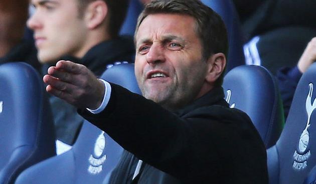 Тим Шервуд, Sky Sports