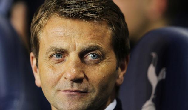 Тим Шервуд, Sky Sports