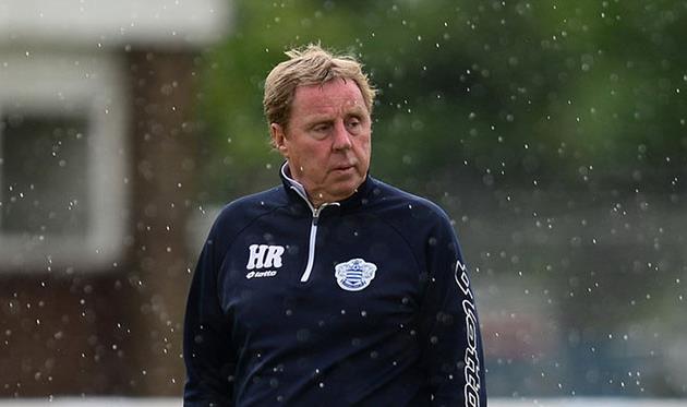 Харри Реднапп, Sky Sports