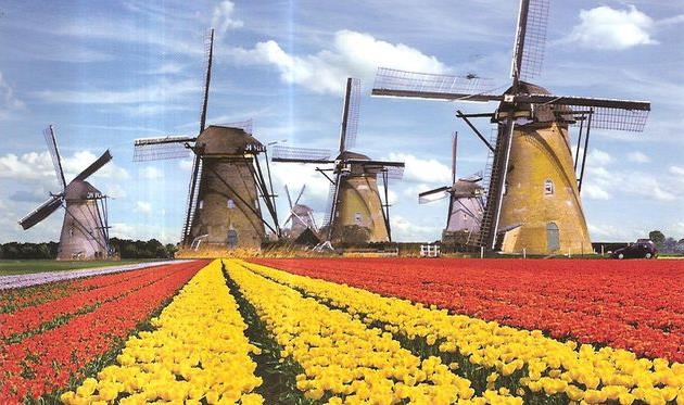 Эредивизи. Дайджест мельниц и тюльпанов