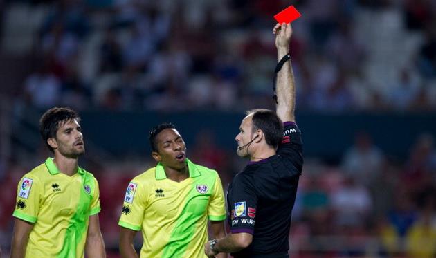 Мохика (справа) переживает за судьбу партнера, фото getty images