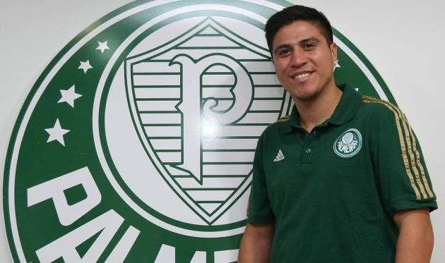 фото palmeiras.com.br