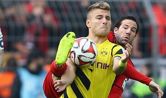 Чиро Иммобиле, Getty images