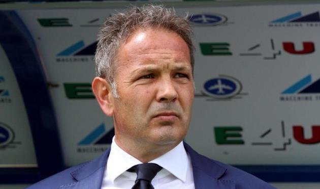 Синиша Михайлович, ansa