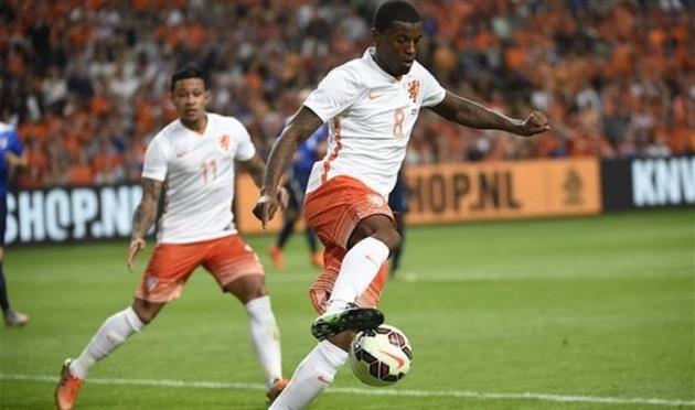 Жоржиньо Вейналдум, Getty images