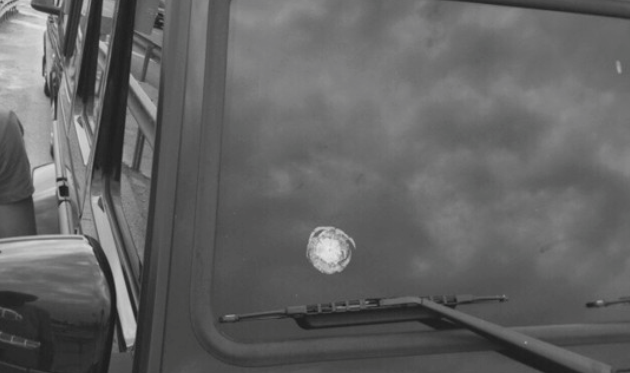 фото turkish-football.com