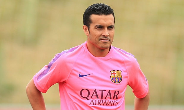 ПЕДРО, ФОТО THEGUARDIAN.COM