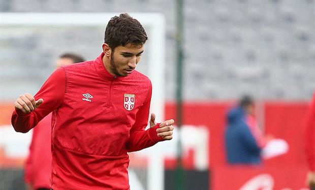 Марко Груйич, telegraph.co.uk