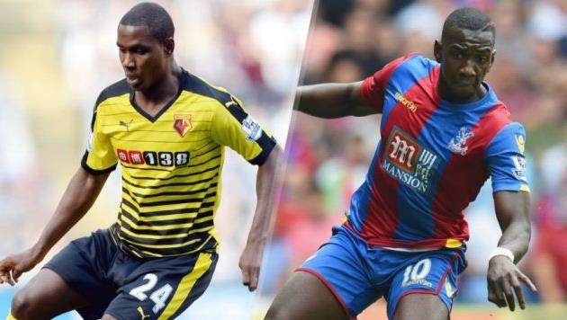 Игало, Боласи, foxnews.com