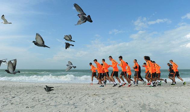 Тренировка шахтера, shakhtar.com