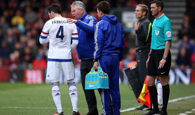 Фабрегас и Хиддинк, Getty Images