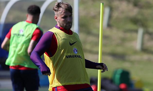 Люк Шоу, Sky sports