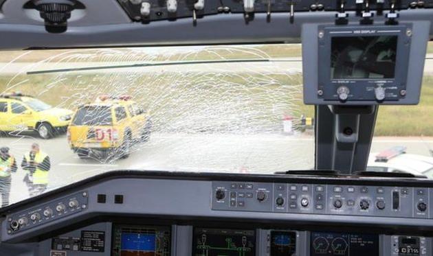 ФК Фенербахче