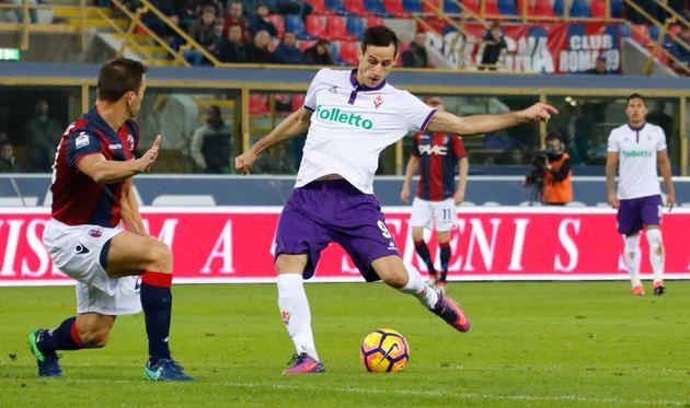 Никола Калинич, violachannel.tv