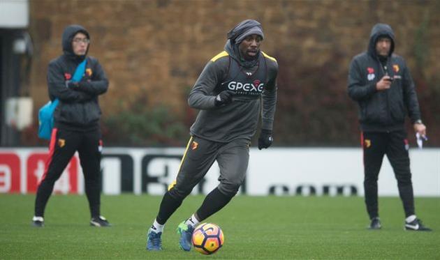 Стефано Окака, twitter.com/watfordfc