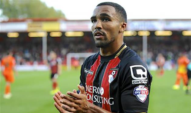 Каллум Уилсон, afcb.co.uk