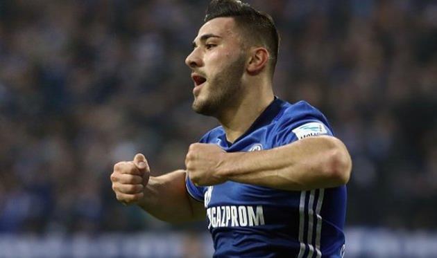 сеад колашинац, twitter