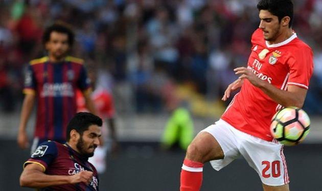 Гонсало Гедеш, AFP