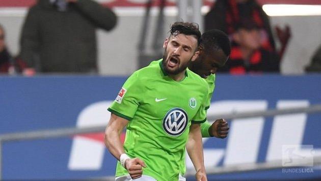 даниэль калиджури, twitter