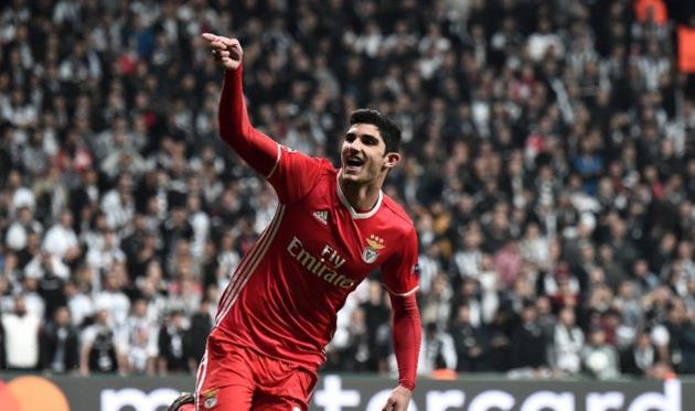 гонсалу гедеш, twitter