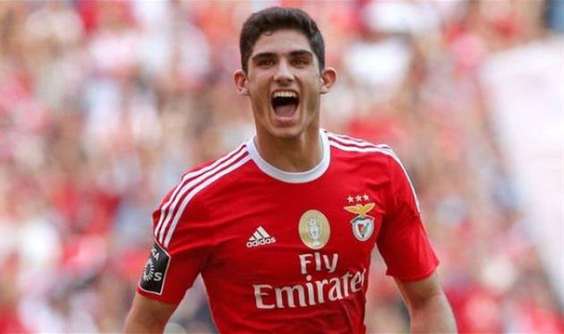 гонсалу гедеш, twitter