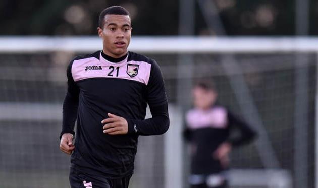 Робин Квайсон, palermocalcio.it