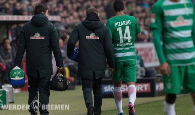 клаудио писарро, фк вердер