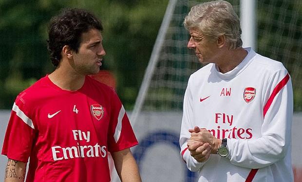 фабрегас и венгер, The Telegraph