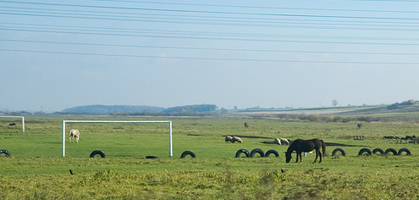 Финал чемпионата Европы сыграем здесь... Фото flickr.com
