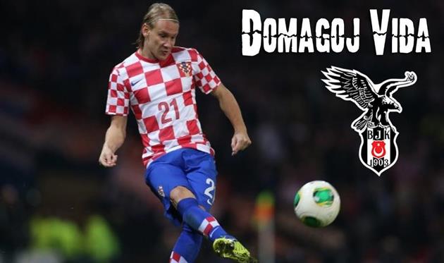 Домагой Вида