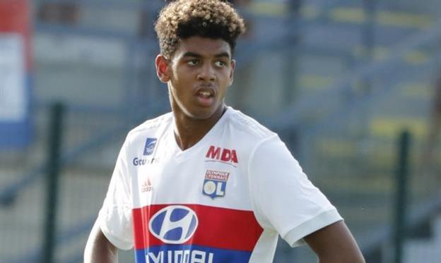 Виллем Геббельс, ФК Лион