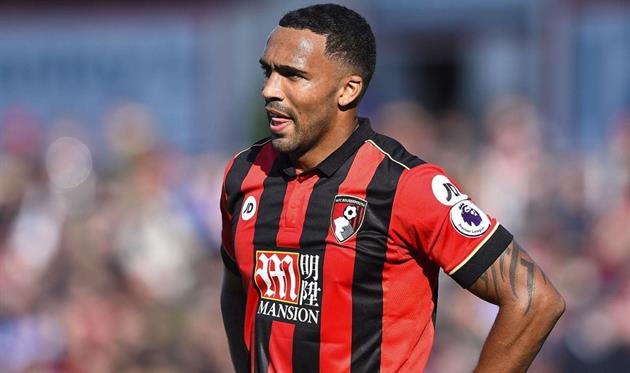 Калум Уилсон