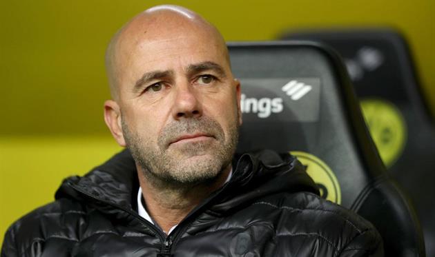 Петер Бос, getty images