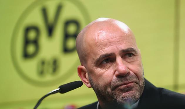 Петер Бос, getty images