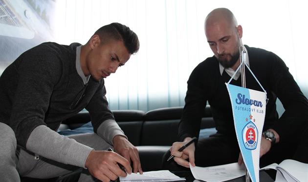 Моха, skslovan.com