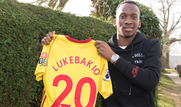 Доди Лукебакио, watfordfc.com