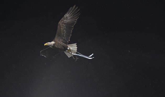 Орел - символ Лацио, Gettyimages