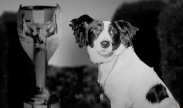 Футбольні мундіалі: від великого до смішного. Частина VІІI. Собака, який врятував кубок світу