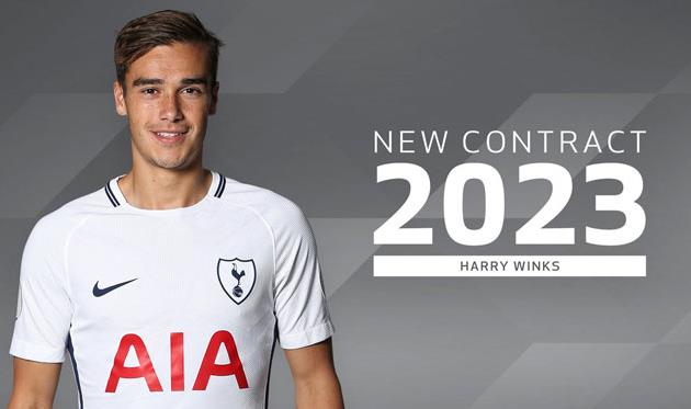 Гарри Уинкс, ФК Тоттенхэм