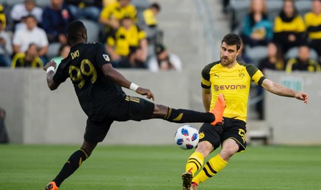 фото Боруссия Д