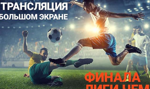 Масштабный Open Air фестиваль