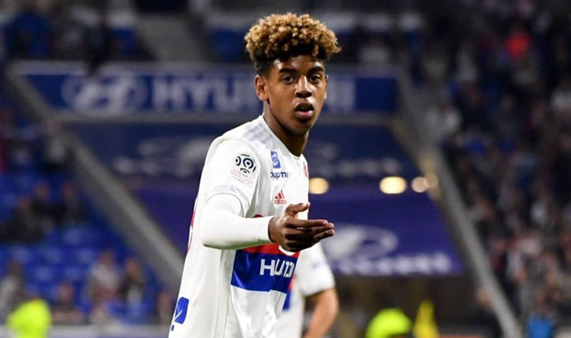 Виллем Геббельс, ligue1.com