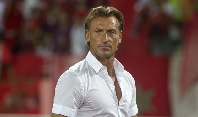 Эрве Ренар, fifa.com