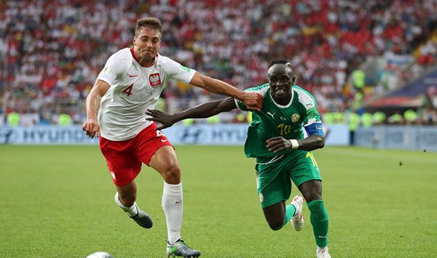 Польша - Сенегал, Getty Images