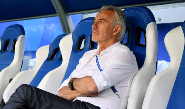 Берт ван Марвейк, fifa.com