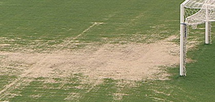 Тут и сыграем