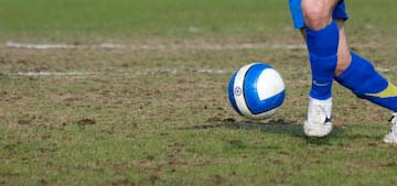 Газон во Владивостоке, фото luch-energy.ru