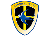 Противник допуска Кардиффа в еврокубки